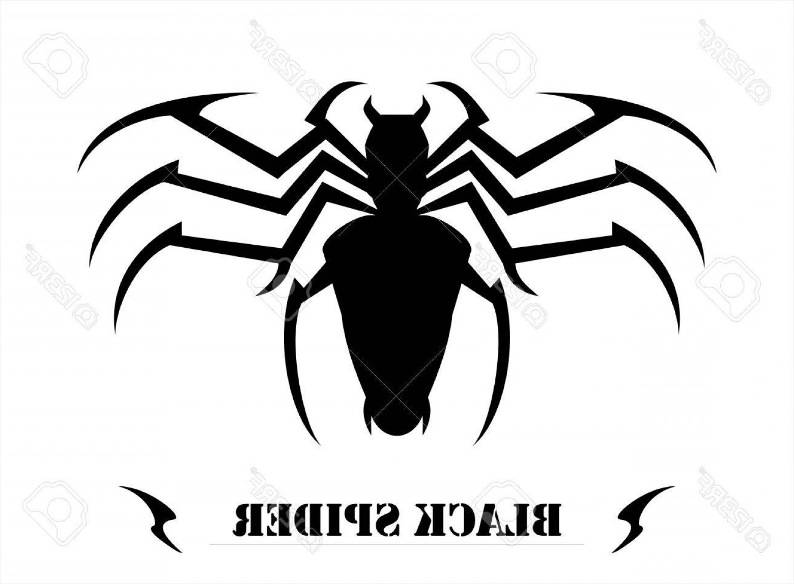 1560x1148 Photostock Vector Spider Tarantula Tribal Geekchicpro