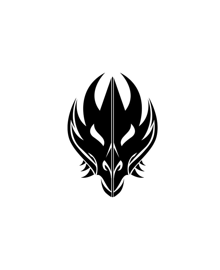 750x920 House Targaryen Sigil Ipad Case Skin