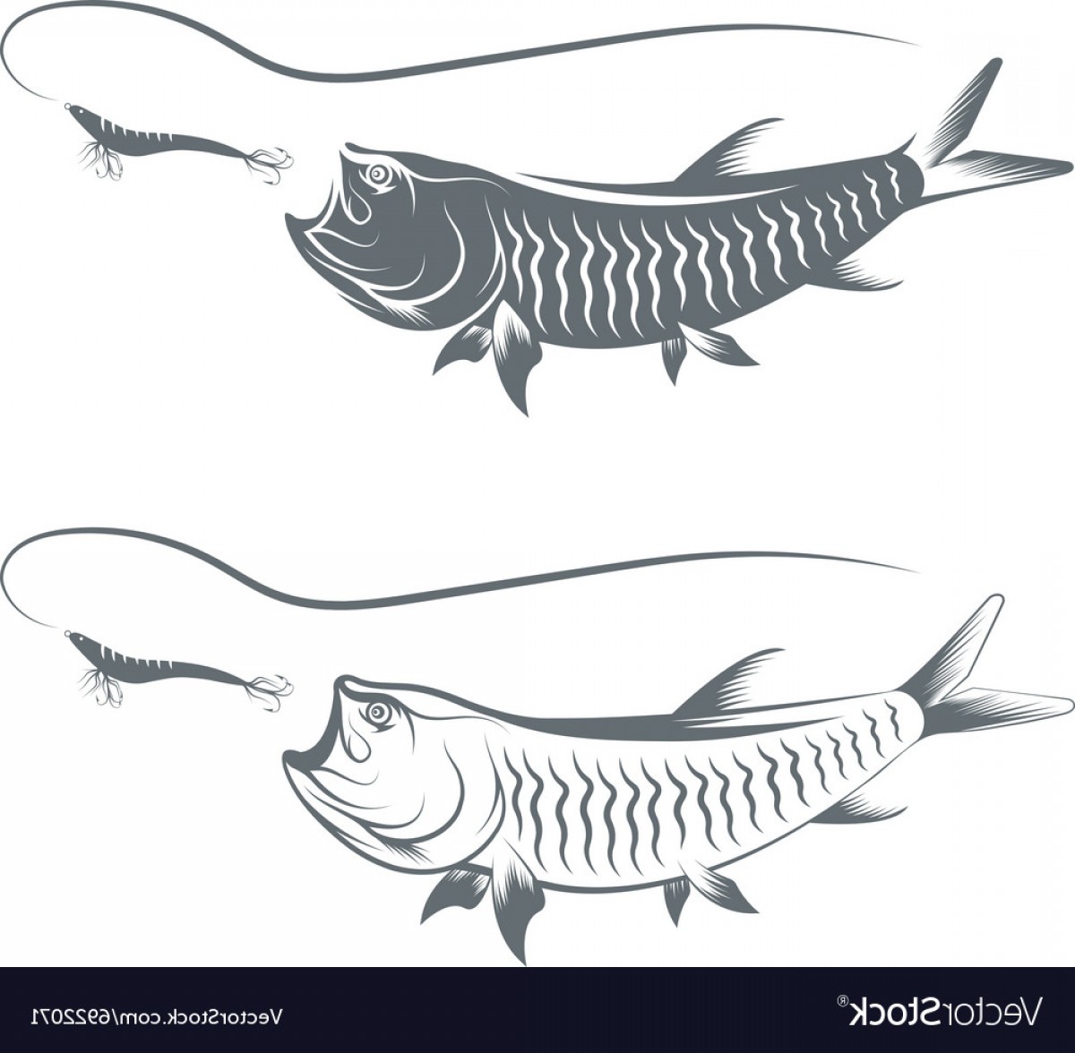 1200x1176 Tarpon Fish And Lure Template Vector Geekchicpro