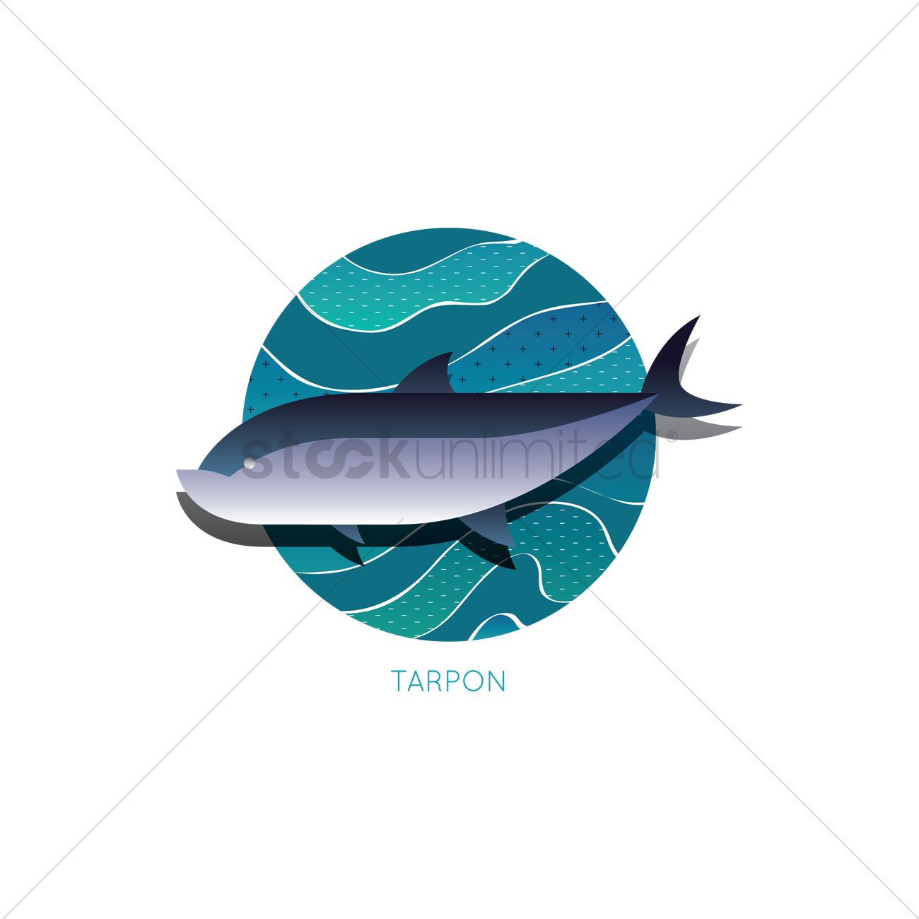 1300x1300 Tarpon Vector Image