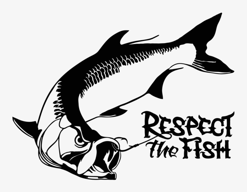 820x637 Tarpon Vector Watercolor Clipart Royalty Free