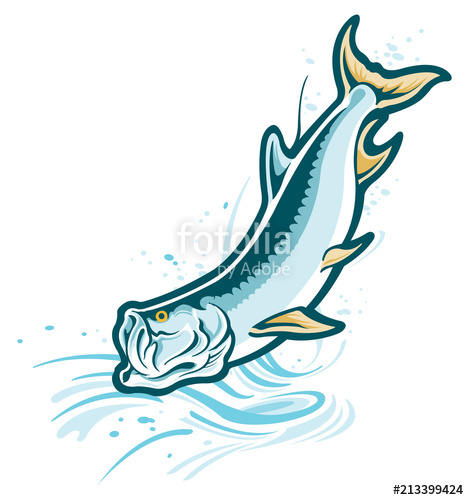469x500 Tarpon Fishing Stock Image And Royalty Free Vector