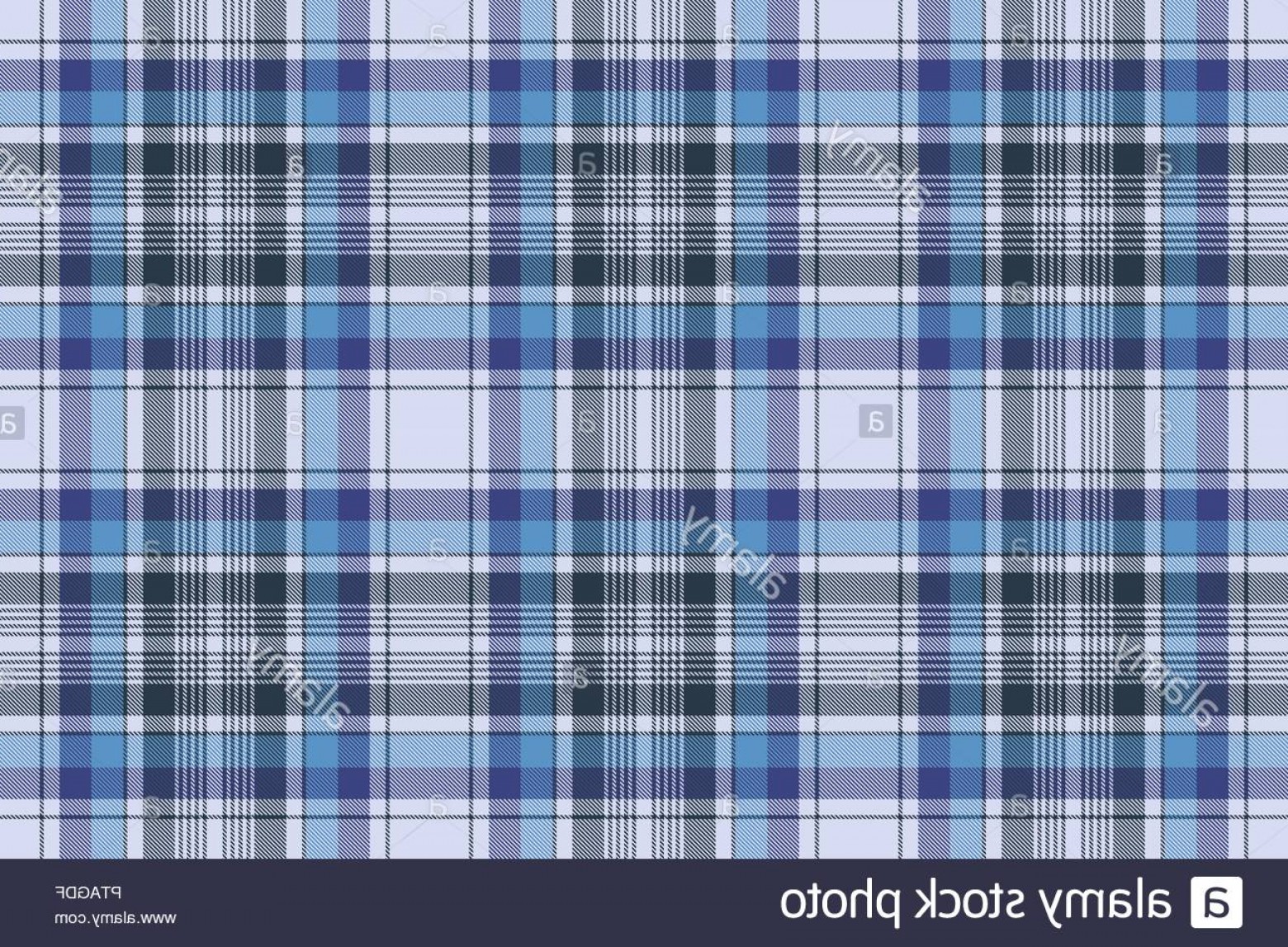 1560x1147 Blue Tartan Check Plaid Fabric Seamless Pattern Vector