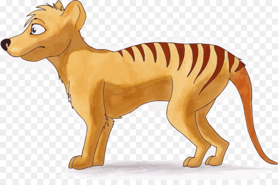 Tasmanian Devil Cartoon 900x600 Tasmanian Devil Cartoon