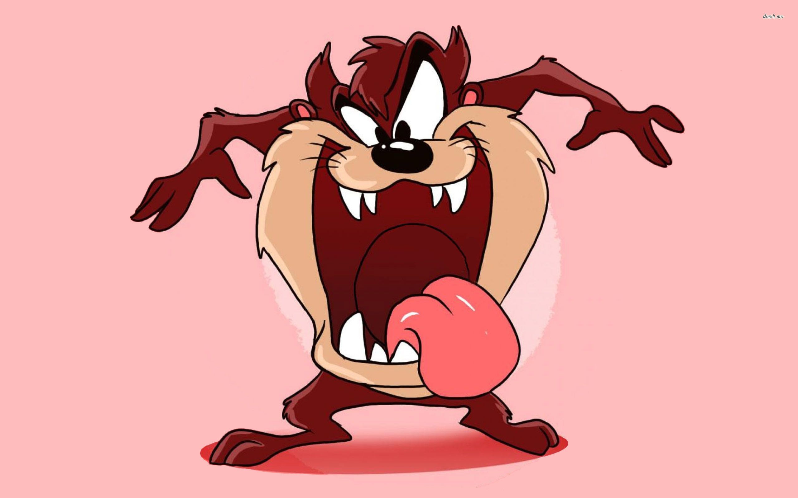 Tasmanian Devil Hd Wallpapers 2560x1600 Tasmanian Devil Hd Wallpapers