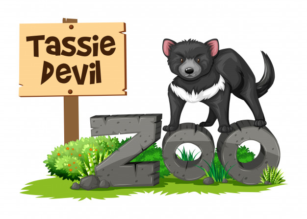 Tasmanian Devil In The Zoo Vector Free Download 626x448 Tasmanian Devil In The Zoo Vector Free Download
