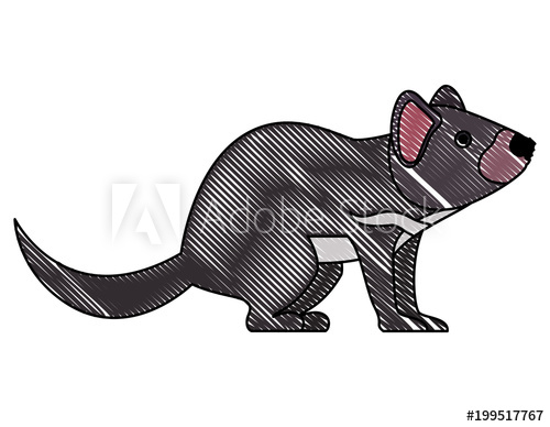 Wild Tasmanian Devil Creature 500x388 Wild Tasmanian Devil Creature