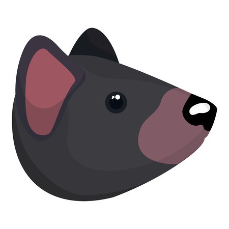 Wild Tasmanian Devil Creature Head Vector Illustration Design 450x450 Wild Tasmanian Devil Creature Head Vector Illustration Design