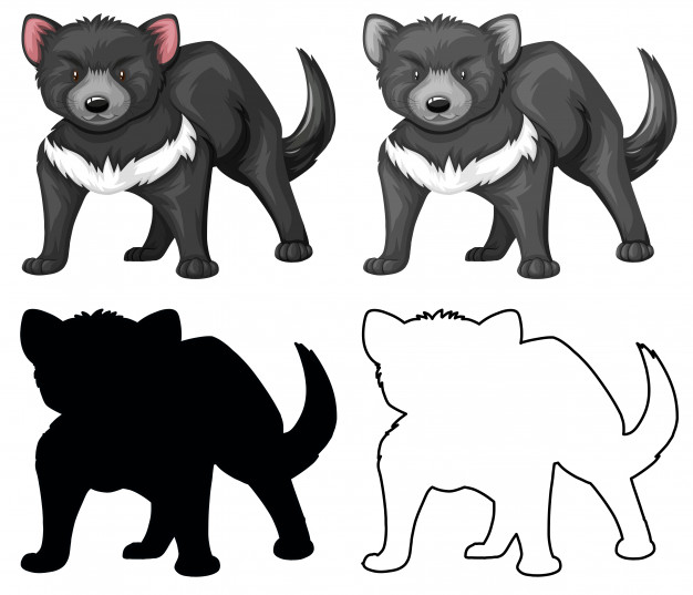 626x537 Set Of Tasmanian Devil Vector Free Download