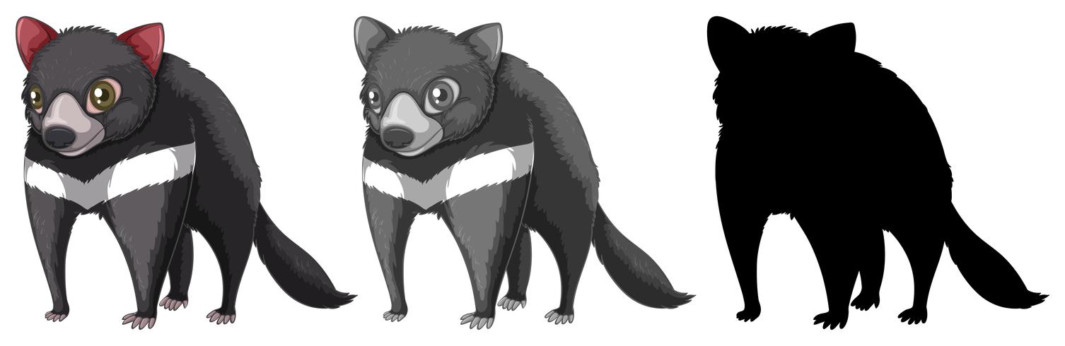 1506x490 Set Of Tasmanian Devil Character
