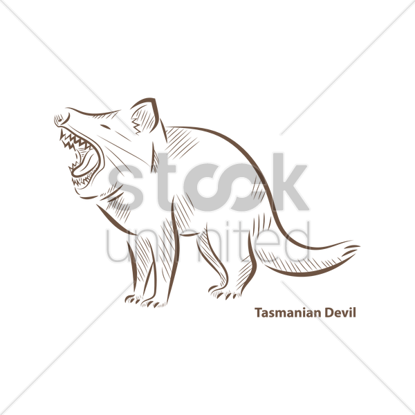 600x600 Tasmanian Devil Vector Image