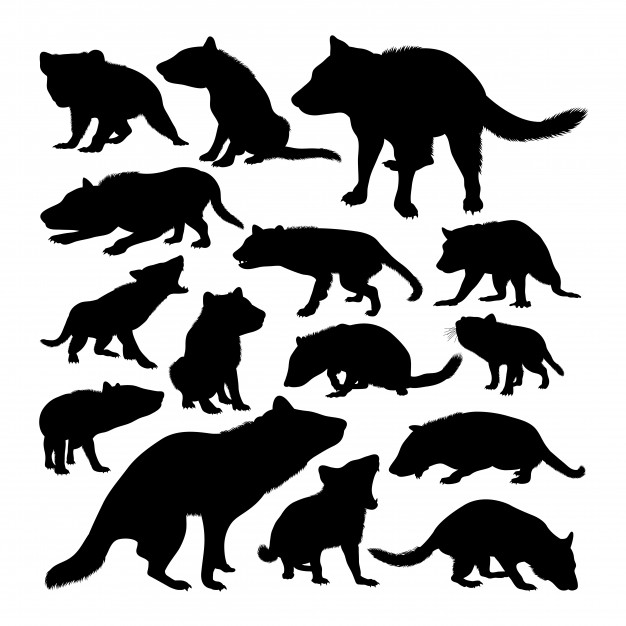 626x626 Tasmanian Devil Animal Silhouettes Vector Premium Download
