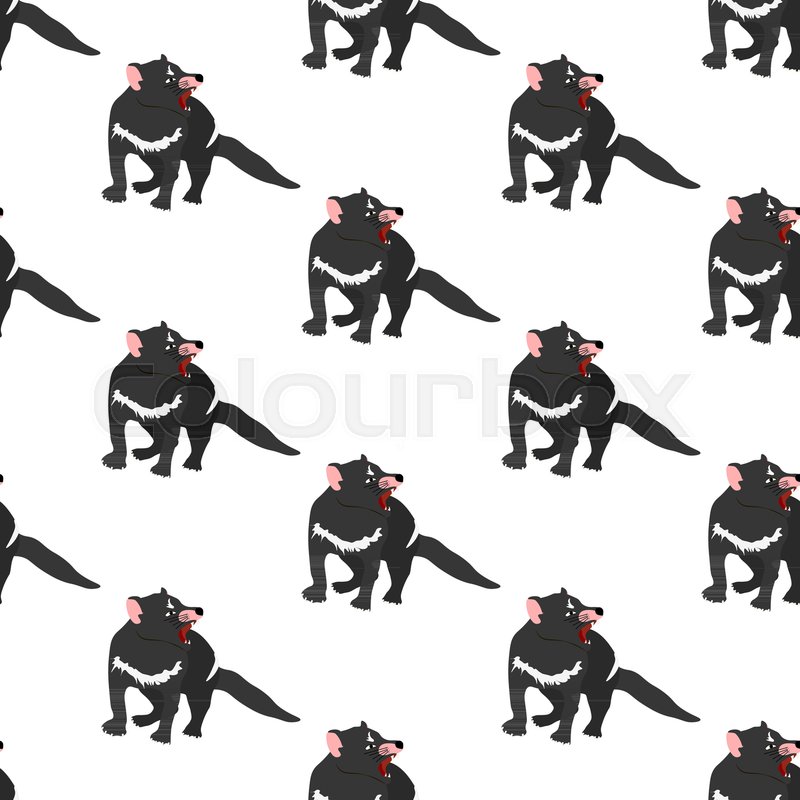 800x800 Tasmanian Devil Seamless Pattern On Stock Vector Colourbox