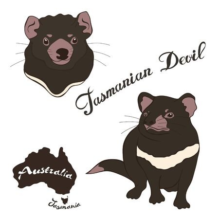 450x450 Tasmanian Devil Vector Image Isolated On White Background