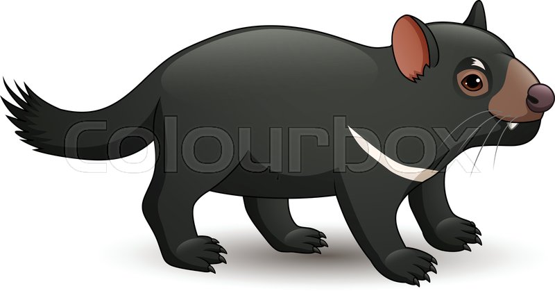 Tasmanian Devil Vector at Vectorified.com | Collection of Tasmanian ...