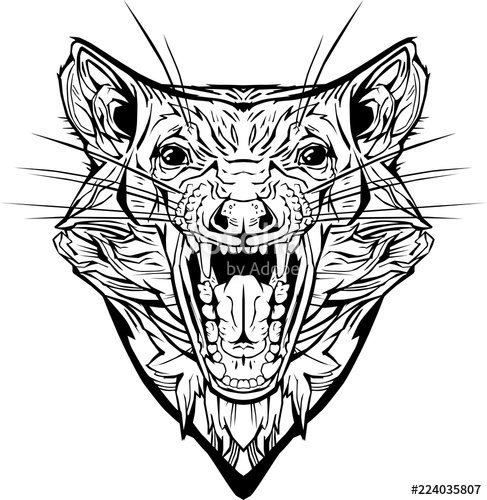 487x500 Angry Tasmanian Devil Stock Image And Royalty Free Vector