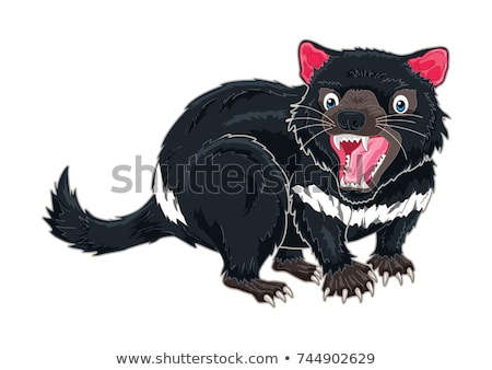 450x338 Ideas Tasmanian Devil Cartoon Detail Illustration Stock Vector