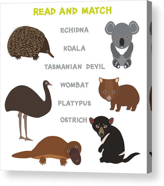 664x750 Kids Words Learning Game Worksheet Read And Match Funny Animals