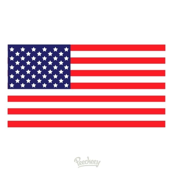 American Flag Vector Art Kguru 600x600 American Flag Vector Art Kguru