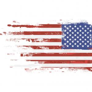 300x300 Distressed Flag Tattered Flag Createmepink