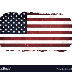 300x300 Photostock Vector Thin Red Line Firefighter Flag Vector Usa Flag