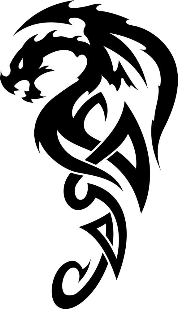 575x999 Celtic Dragon Tattoo Vector Free Vector Cdr Download Dragons
