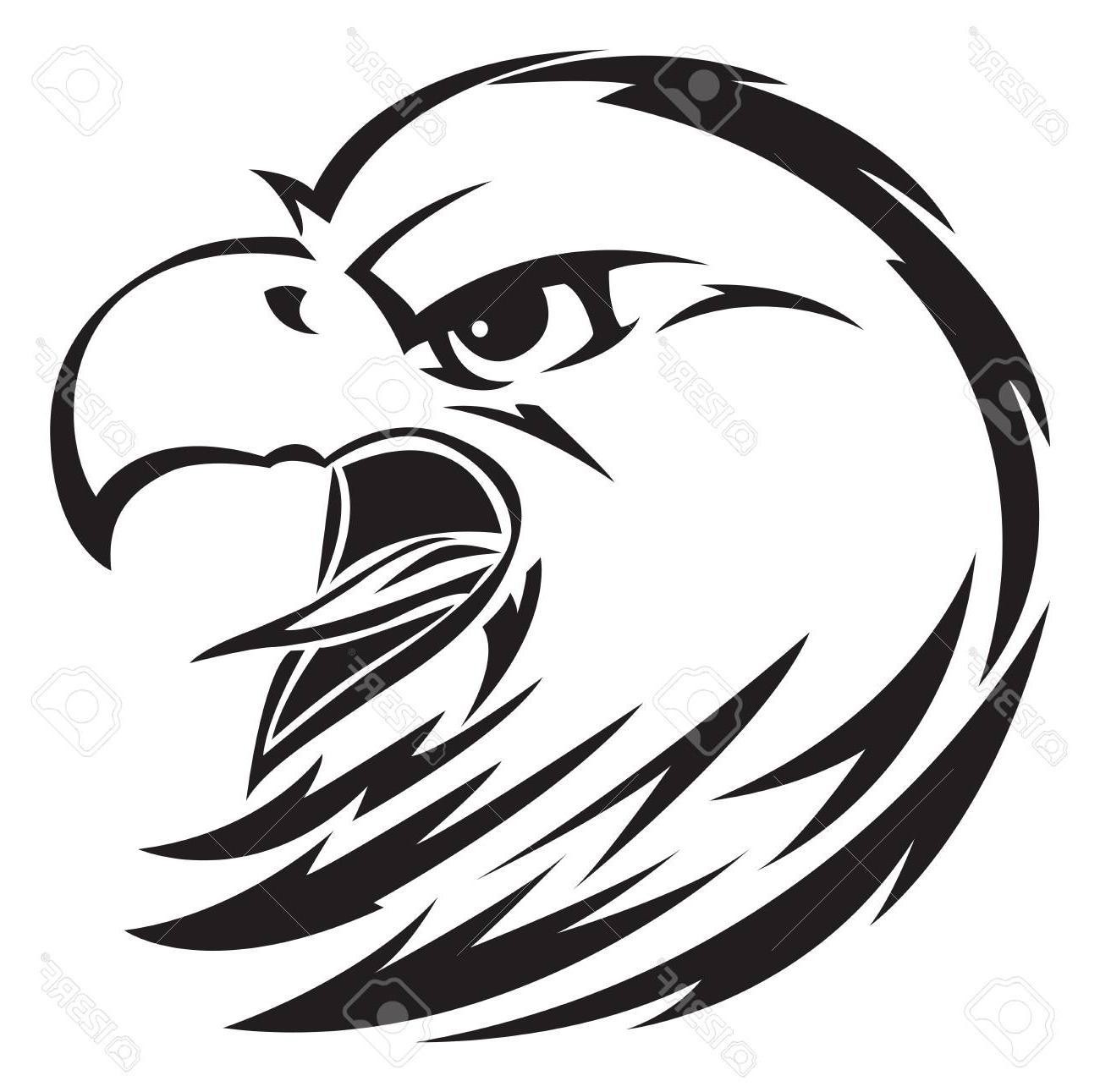 1300x1291 Hd Bald Eagle Head Tattoo Vector Images Free Vector Art Images