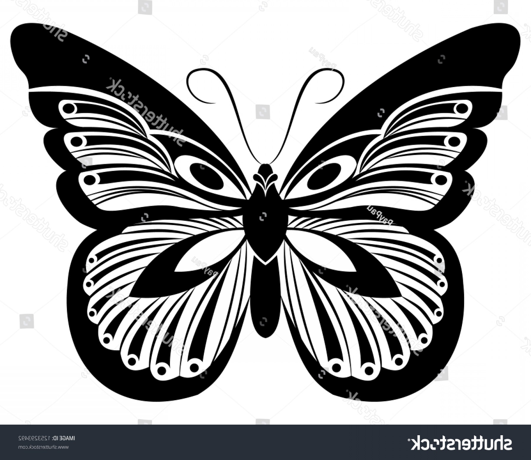 1800x1560 Monarch Butterfly Vector Art Stencil Tattoo Cqrecords