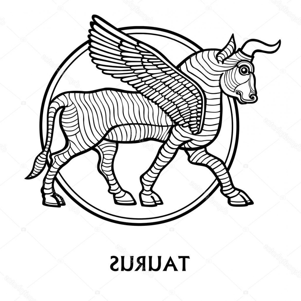 Taurus знак зодиака чб