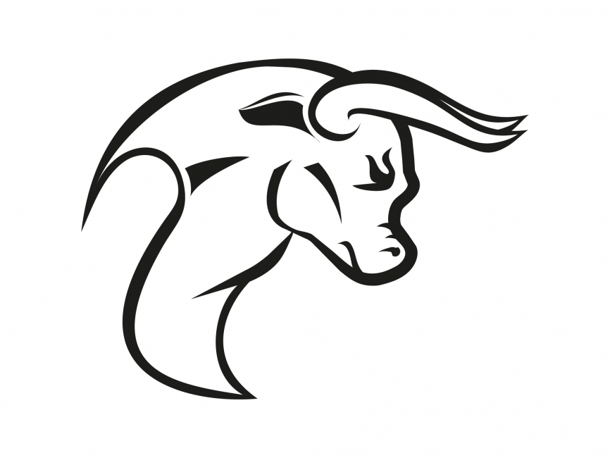 866x650 Taurus Vector