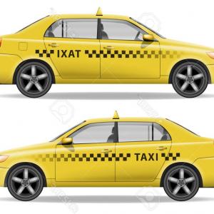 300x300 City Bear Taxi Driver Vector Savoyuptown