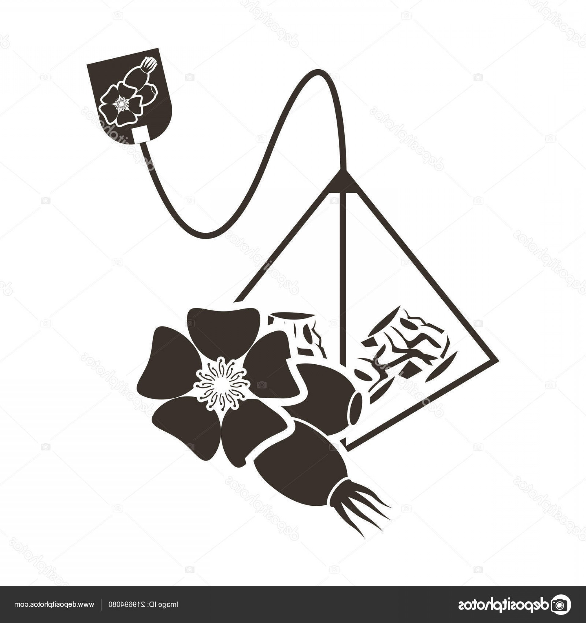 1920x2040 Tea Bag Vector Lamaison