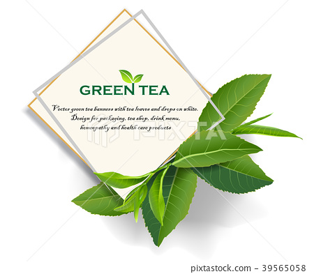 Green Tea Leaves Vector Nature Background 450x393 Green Tea Leaves Vector Nature Background