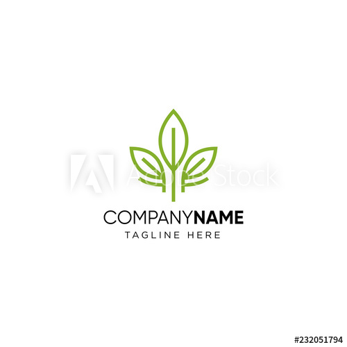 Leaf Logo Design Inspiration, Tea Leaf Vector 500x500 Leaf Logo Design Inspiration, Tea Leaf Vector