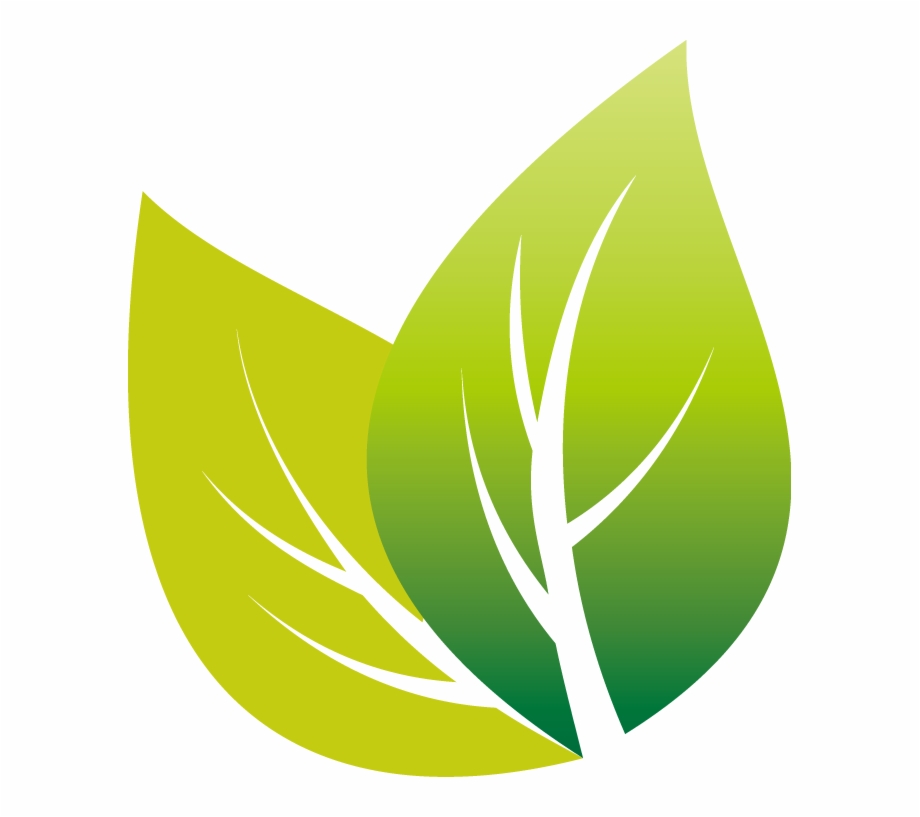 Tea Leaf Vector Png, Transparent Png Download For Free 920x817 Tea Leaf Vector Png, Transparent Png Download For Free