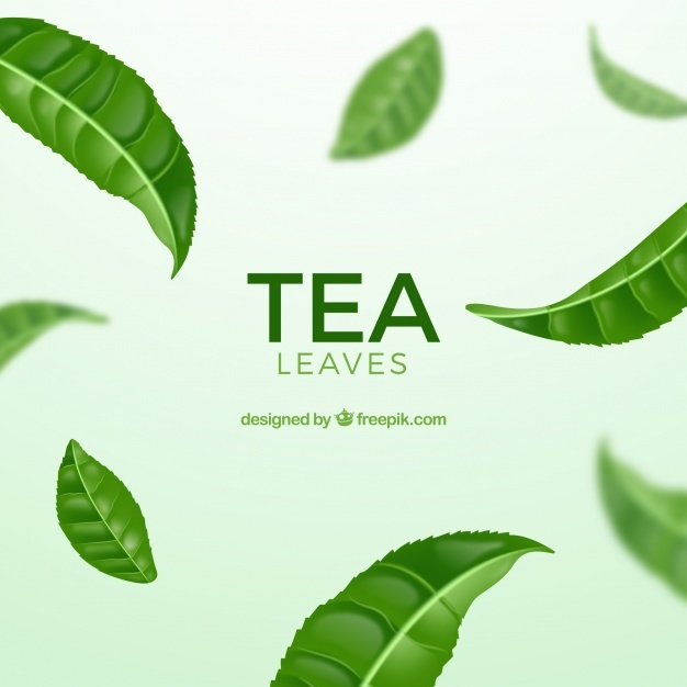 Tea Leaf Vectors, Photos And Free Download 626x626 Tea Leaf Vectors, Photos And Free Download