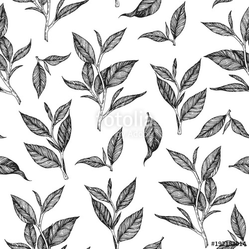 Tea Seamless Pattern Hand Drawn Tea Leaf Vector Illustration 500x500 Tea Seamless Pattern Hand Drawn Tea Leaf Vector Illustration