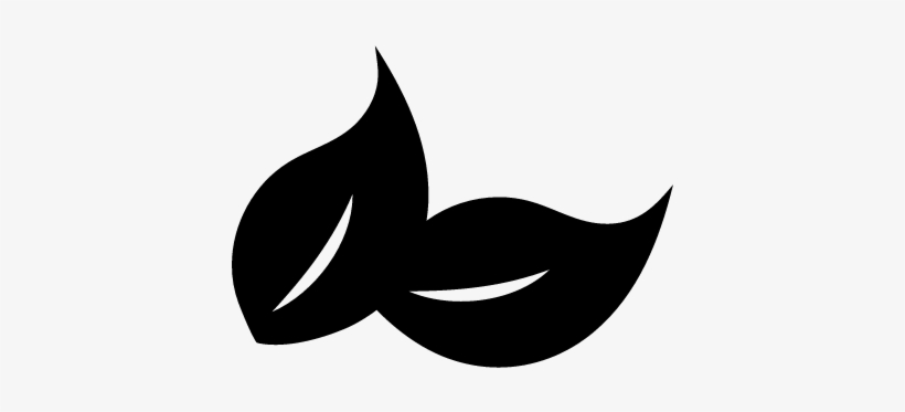 Two Tea Leaves Vector 820x373 Two Tea Leaves Vector