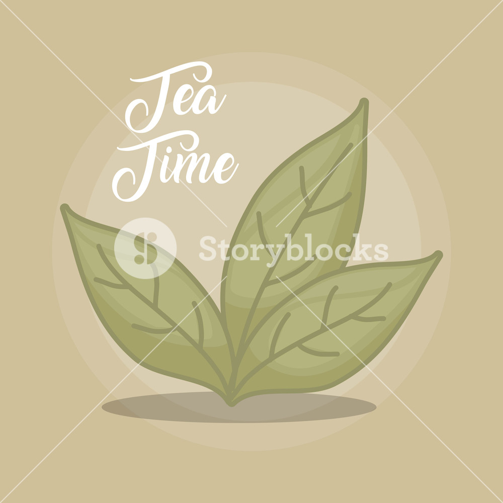Green Tea Leaves Vector Illustration Graphic Design Royalty Free 1000x1000 Green Tea Leaves Vector Illustration Graphic Design Royalty Free
