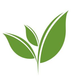 250x290 Tealeaf Tea Leaves Plant Leaves, Tea Packaging, Tea Labels