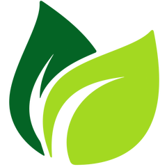 Buy Premium Single Estate Ctc Tea Leaves Online Tea Store 240x240 Buy Premium Single Estate Ctc Tea Leaves Online Tea Store