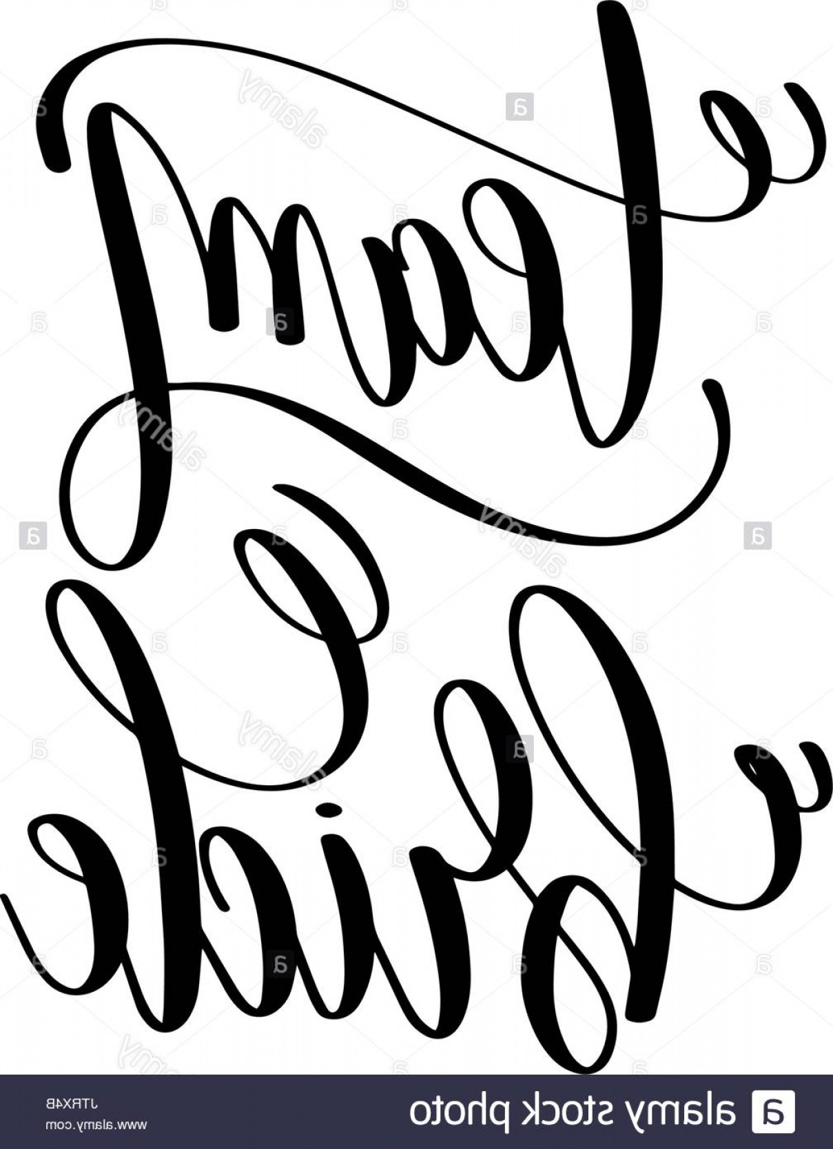 1209x1668 Team Bride Black And White Hand Lettering Script Image Catchsplace