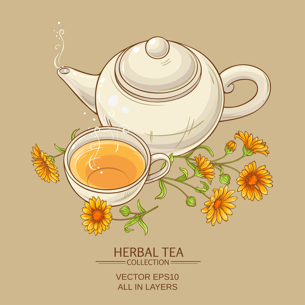 600x600 Calendula Tea Teapot Vector Background Free Download