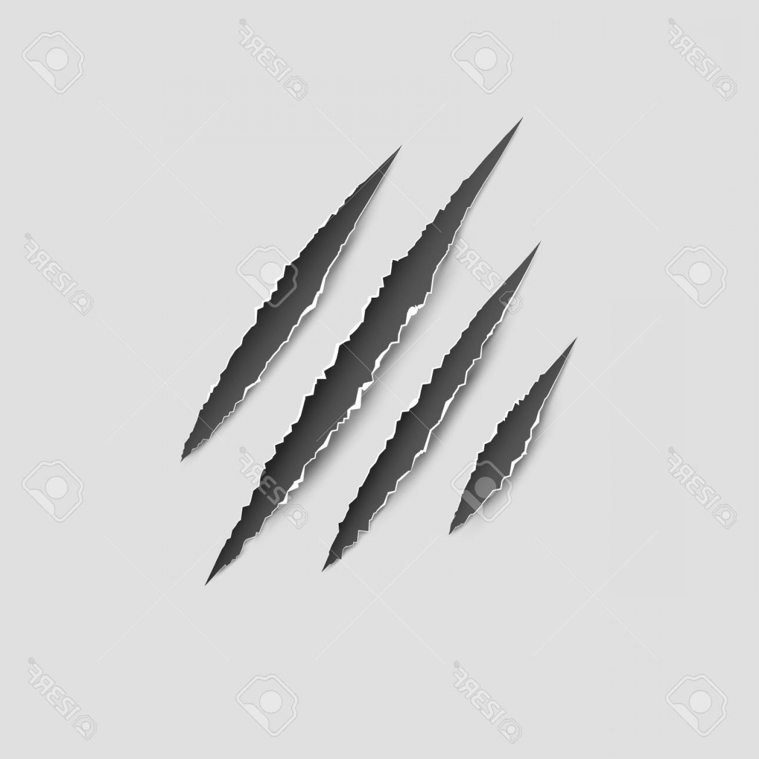 1560x1560 Tiger Claw Tear Vector Art Catchsplace