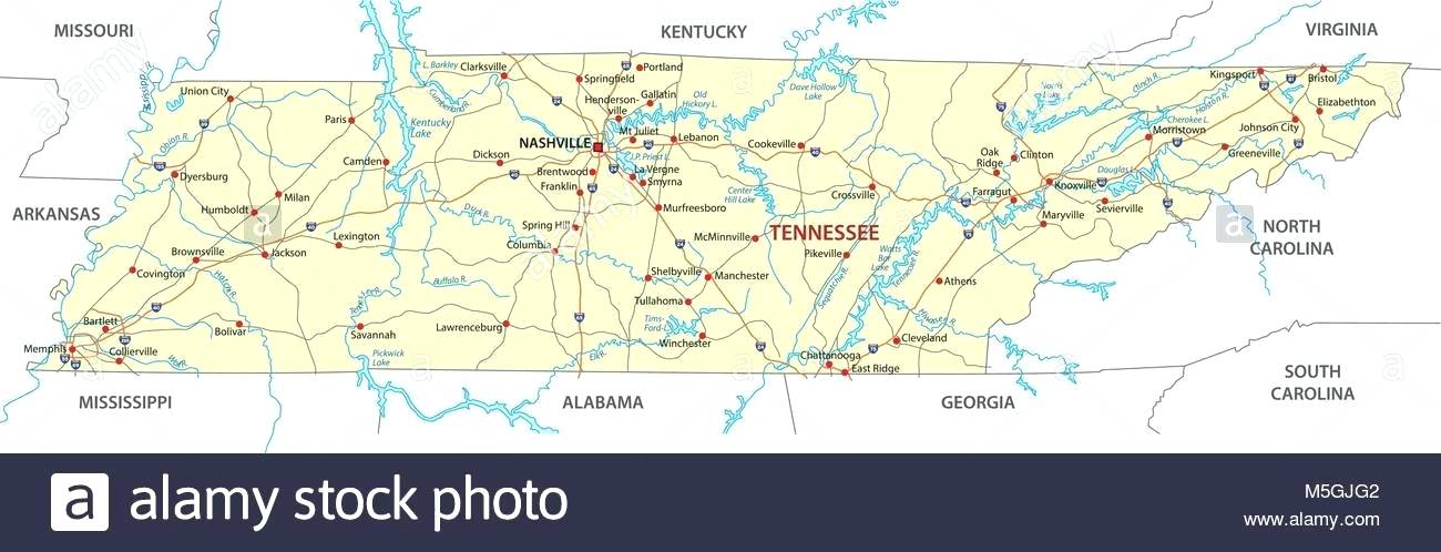 Tennessee County Map Vector at Vectorified.com | Collection of ...