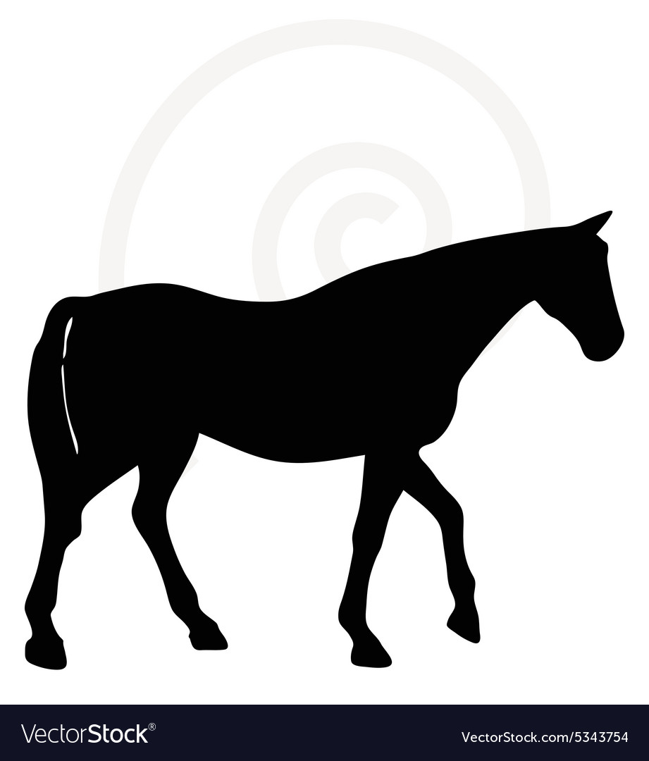 921x1080 Unusual Design Walking Horse Silhouette In Head Up Pose Vector