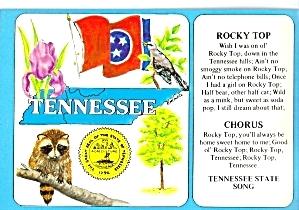 Tn State Symbols State Map And Flag Vector Image Vector Artwork 299x210 Tn State Symbols State Map And Flag Vector Image Vector Artwork