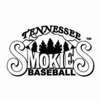Tennessee Titans Brands Of The Download Vector Logos 200x200 Tennessee Titans Brands Of The Download Vector Logos