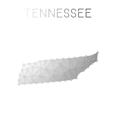 Tennessee Polygonal Vector Map Molecular Structure Us State Map 450x450 Tennessee Polygonal Vector Map Molecular Structure Us State Map