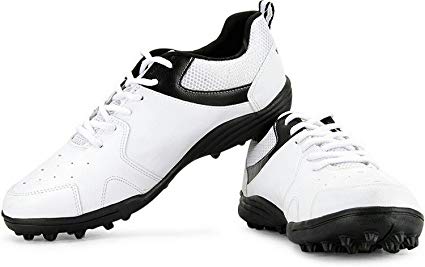 Buy Vector X Blast Cricket Shoes Online 425x267 Buy Vector X Blast Cricket Shoes Online